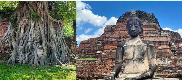 左～ワットマハタート：木の根に覆われた仏頭 右～ワットマハタート：ビルマ軍の侵攻により一度は破壊された仏頭